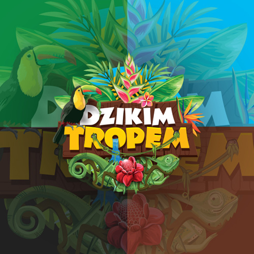 Dzikimtropem.pl – logo, strona internetowa, wizytówki, koszulki.